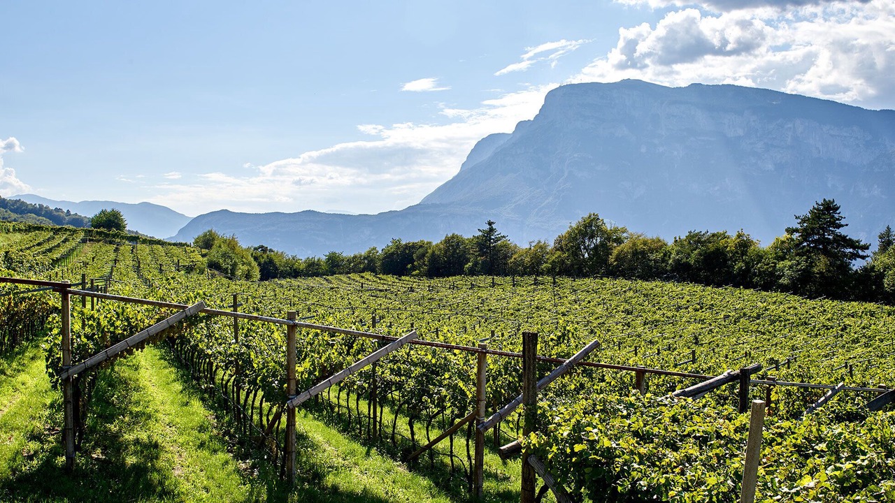 Photo of Outdoor in Lavis
