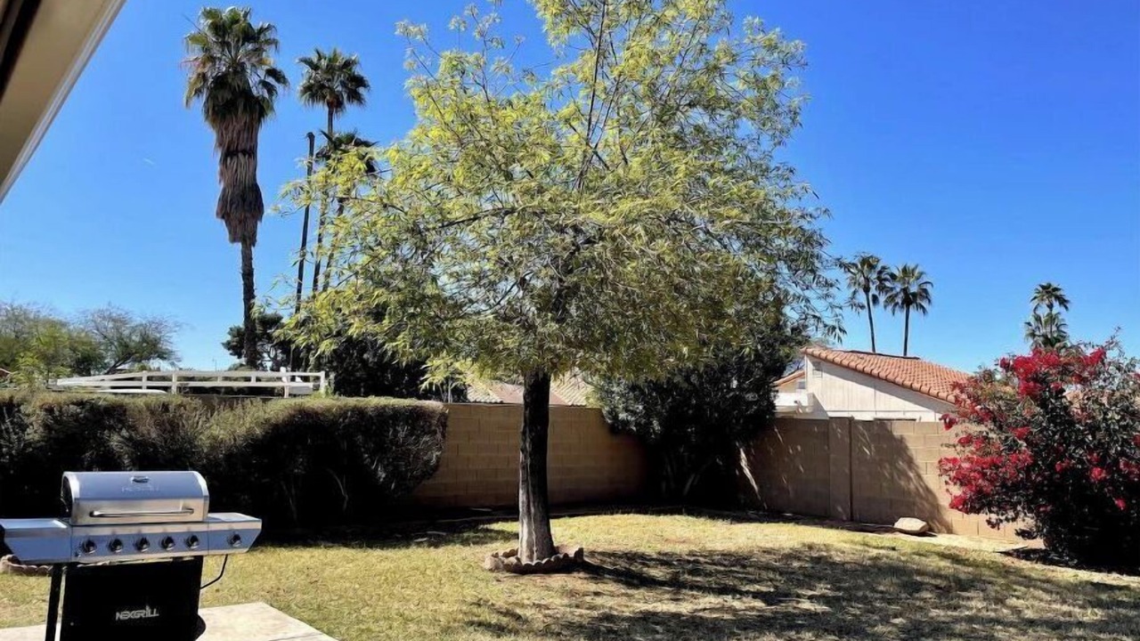 Photo of Outdoor in Chandler