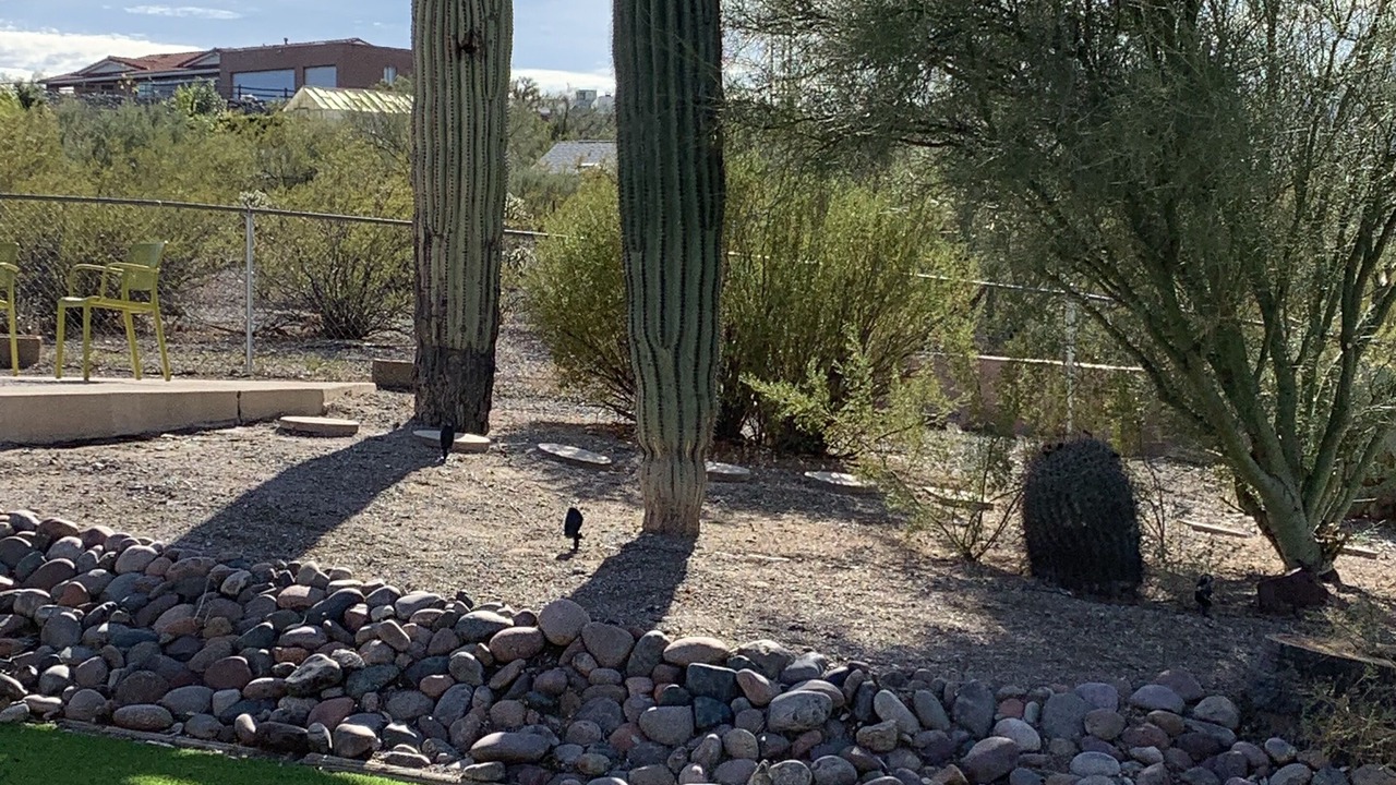 Photo of Outdoor in Rancho Del Cerro