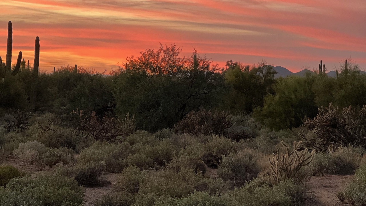 Photo of Outdoor in Terravita