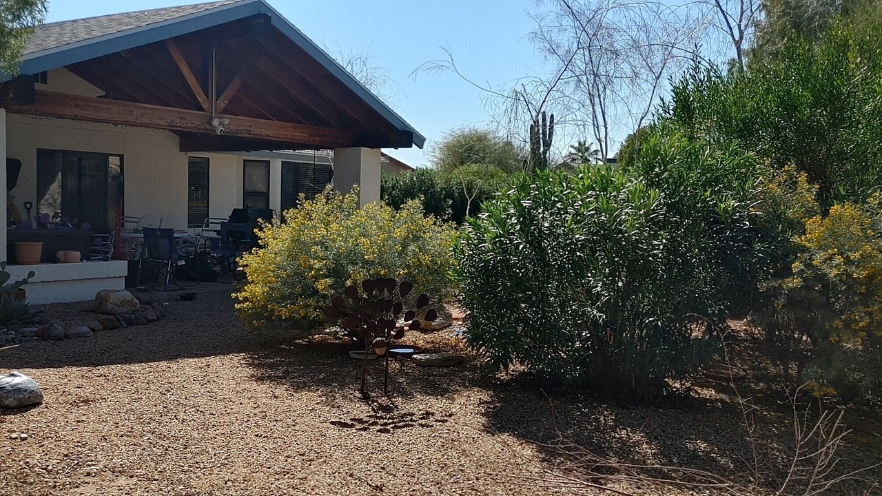 Photo of Others in Sun City West