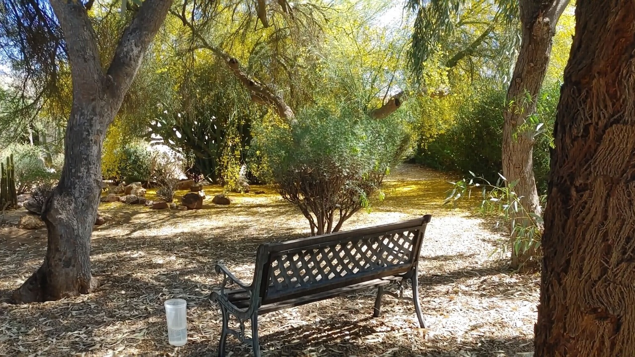 Photo of Others in Sun City West