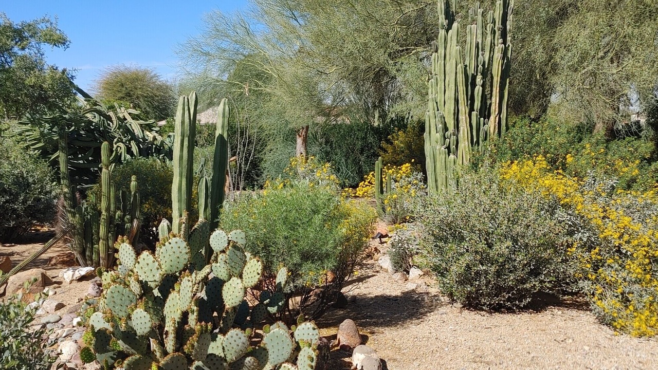 Photo of Others in Sun City West