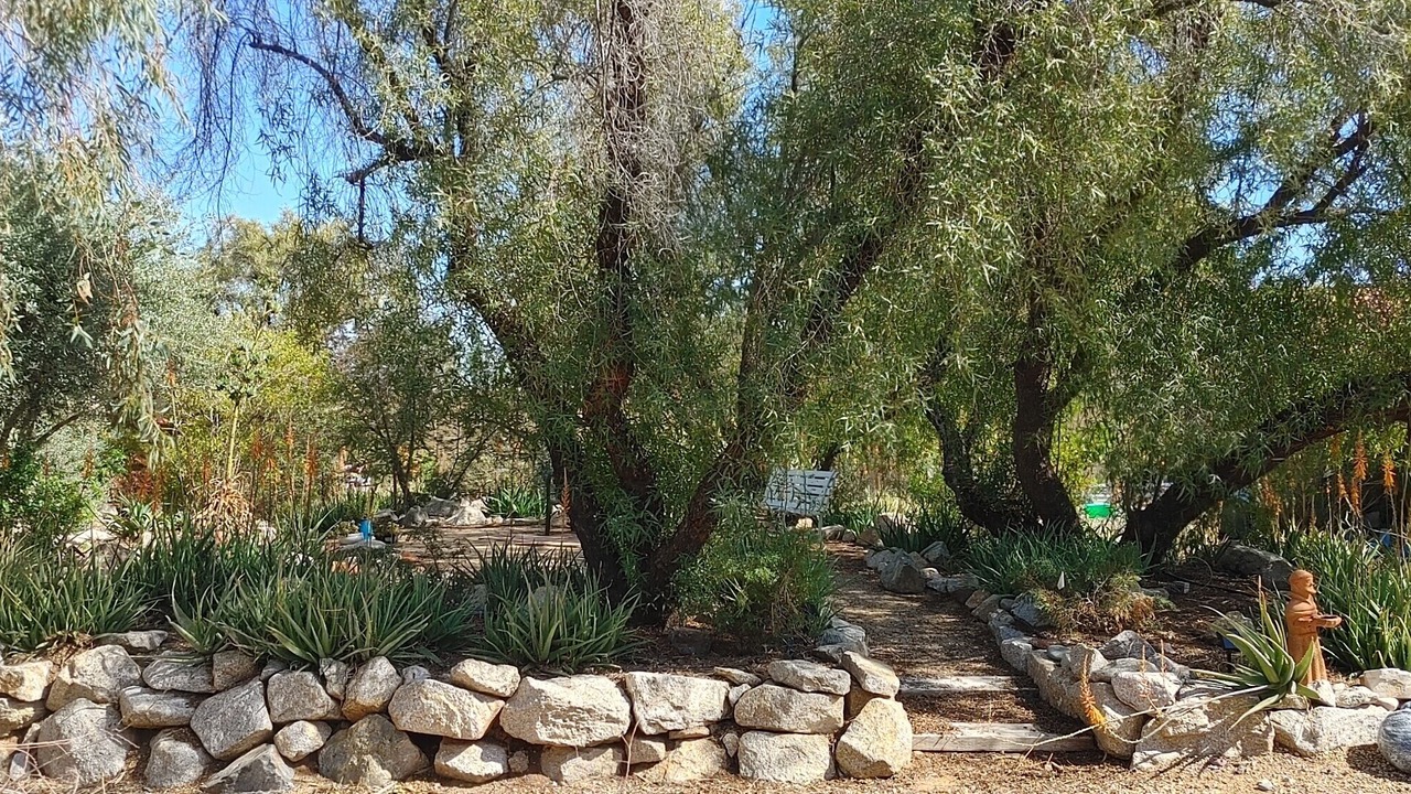 Photo of Others in Sun City West
