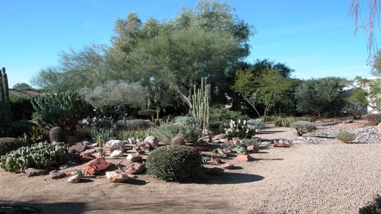 Photo of Others in Sun City West
