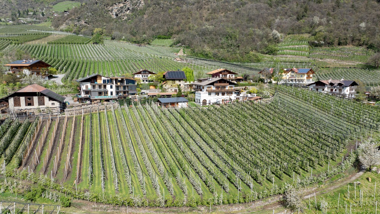 Photo of Outdoor in Lagundo