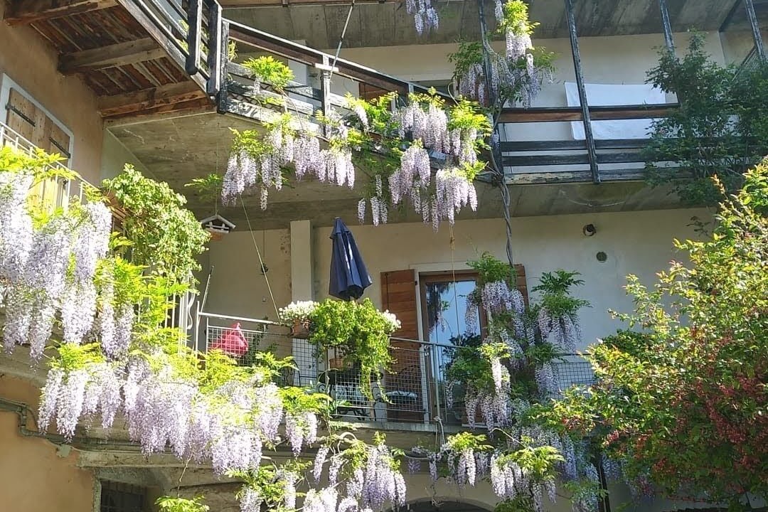 Photo of Outdoor in Mori