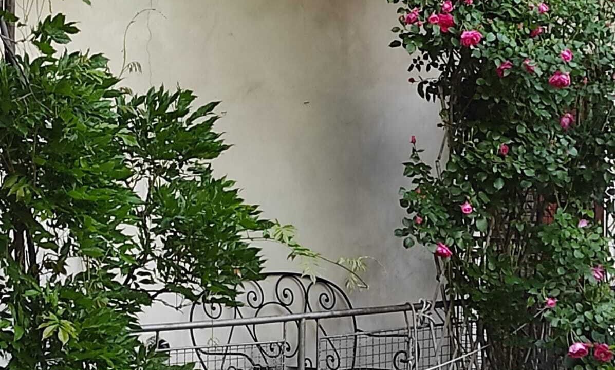 Photo of Outdoor in Mori