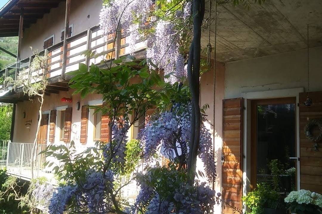 Photo of Outdoor in Mori