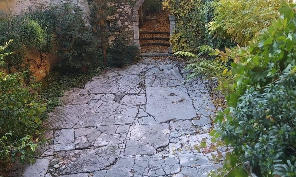 Photo of Outdoor in Mori