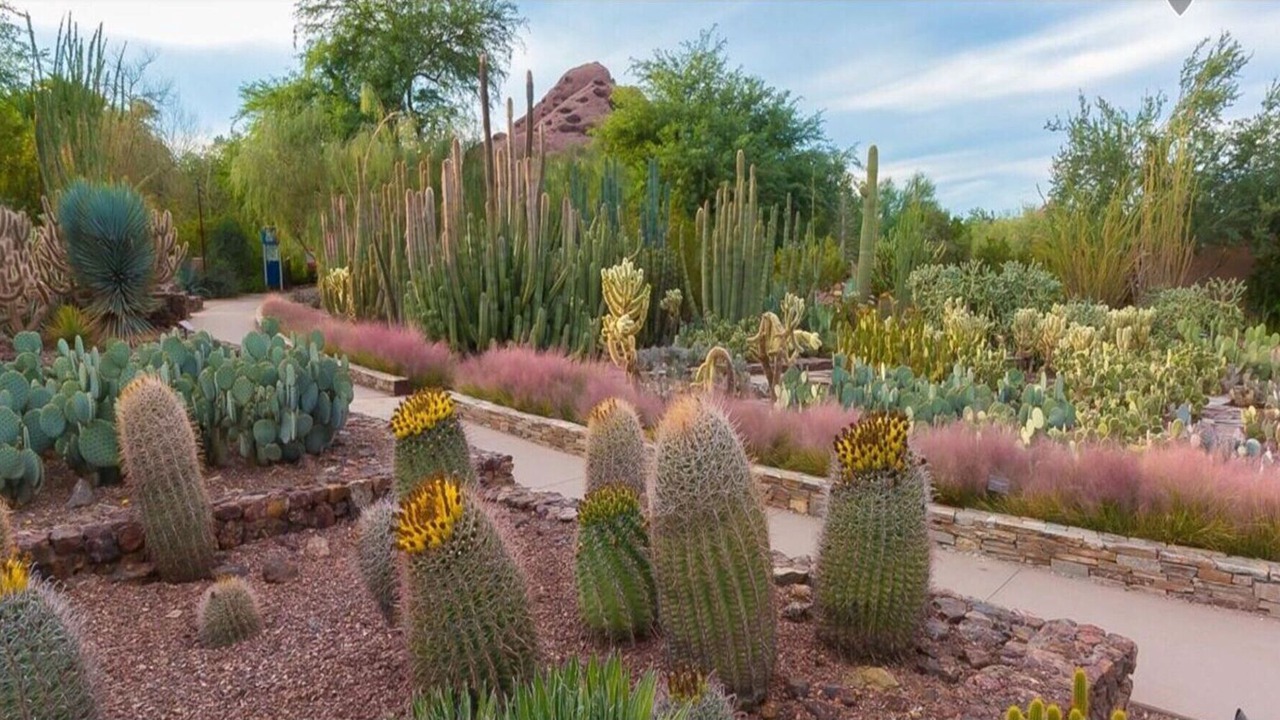 Photo of Outdoor in Downtown Phoenix