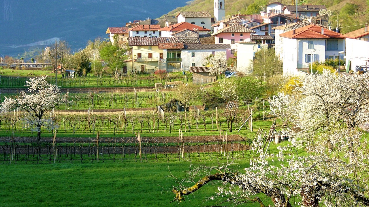 Photo of Outdoor in Rovereto