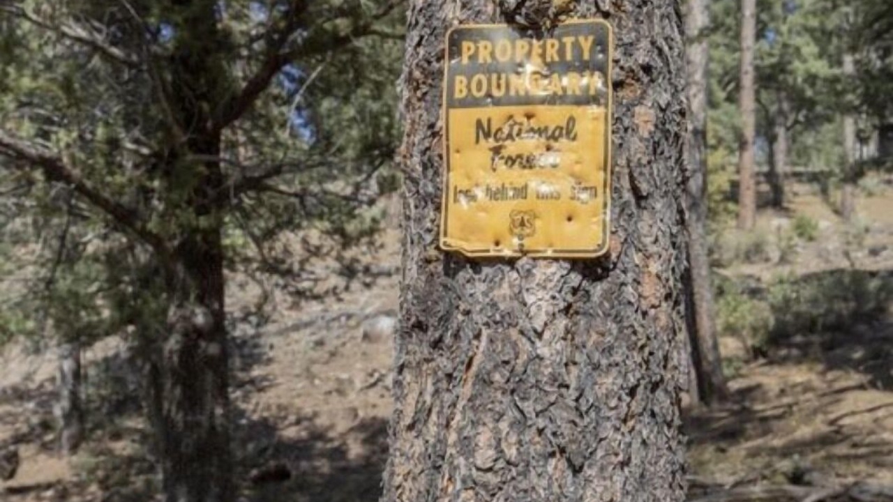 Photo of Outdoor in Christopher Creek