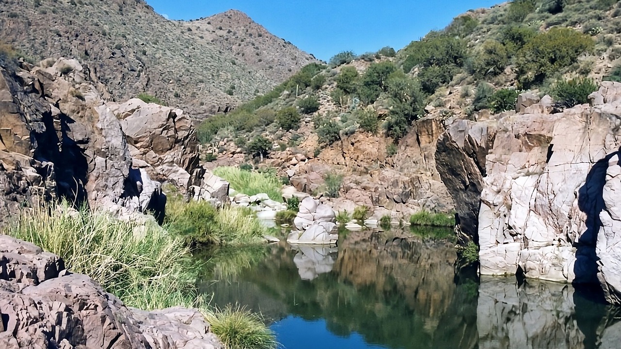 Photo of Others in Kohls Ranch