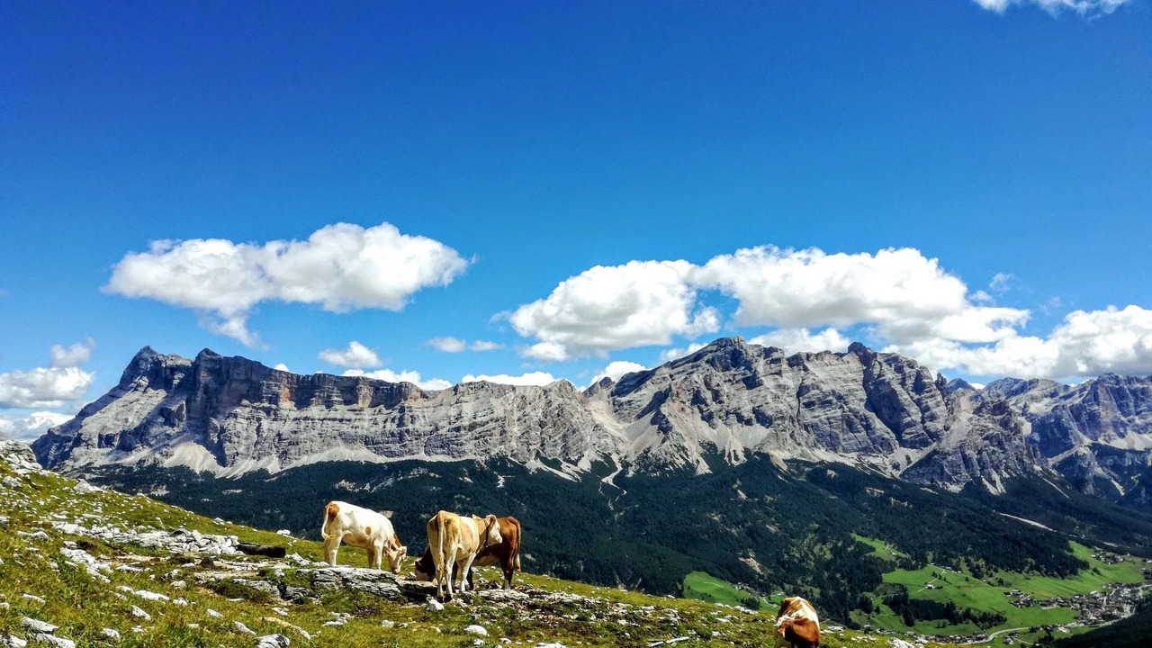 Photo of Others in Corvara in Badia