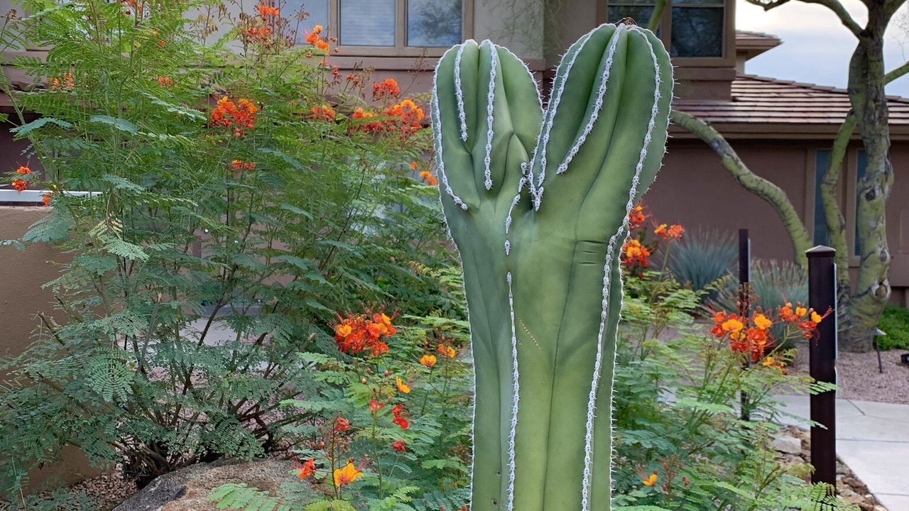 Photo of Outdoor in North Scottsdale