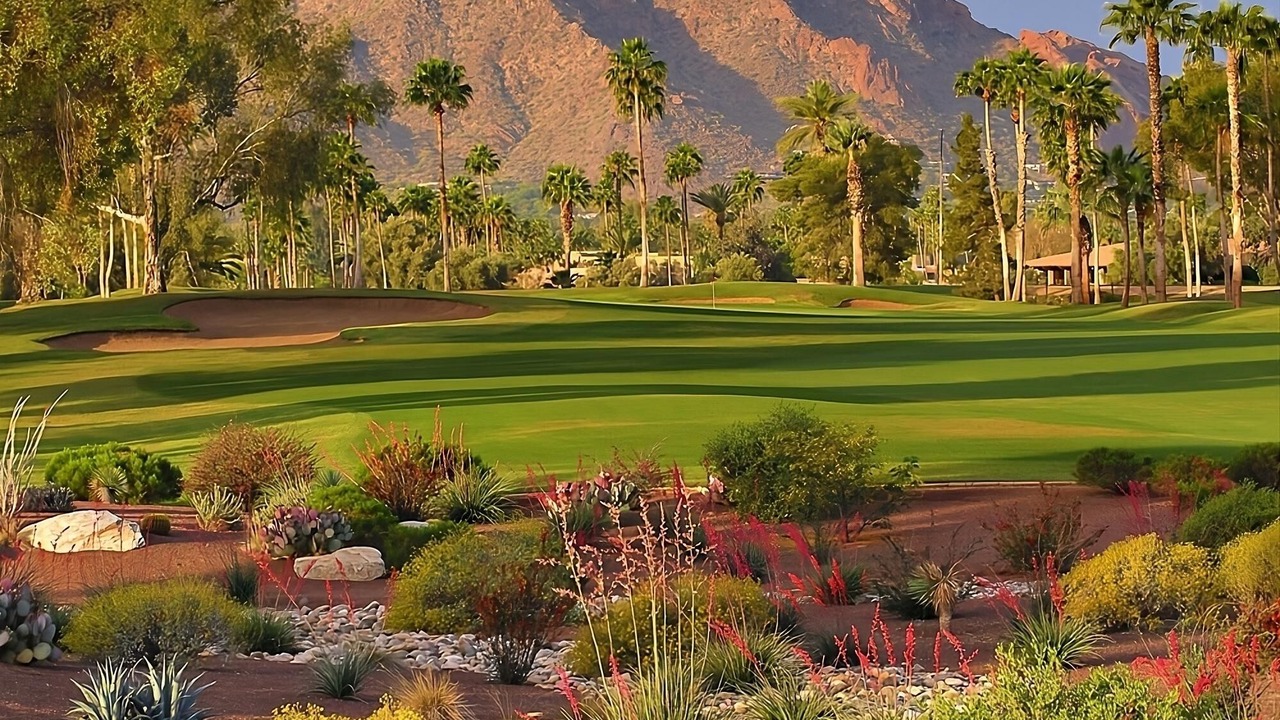 Photo of Others in South Scottsdale