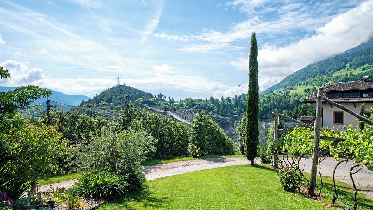 Photo of Outdoor in Vollan
