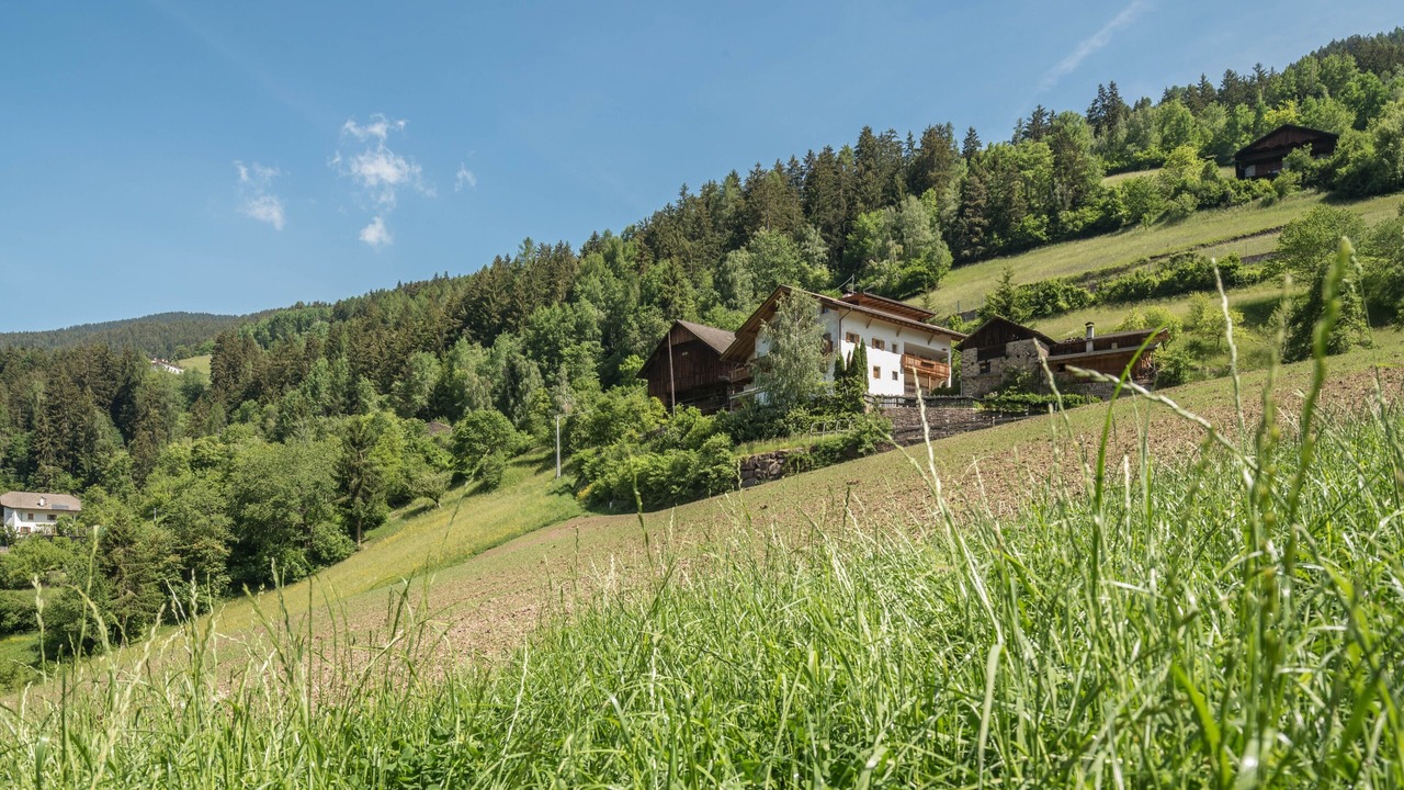 Photo of Outdoor in Laion