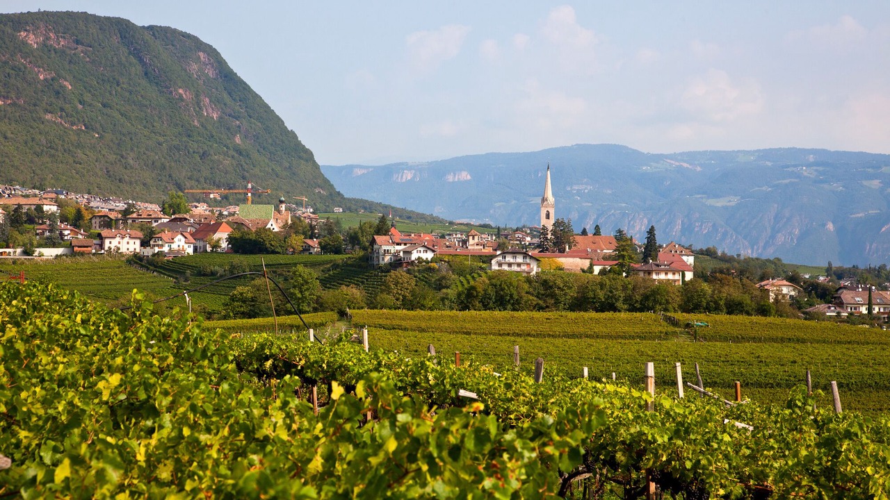 Photo of Outdoor in Caldaro Sulla Strada del Vino