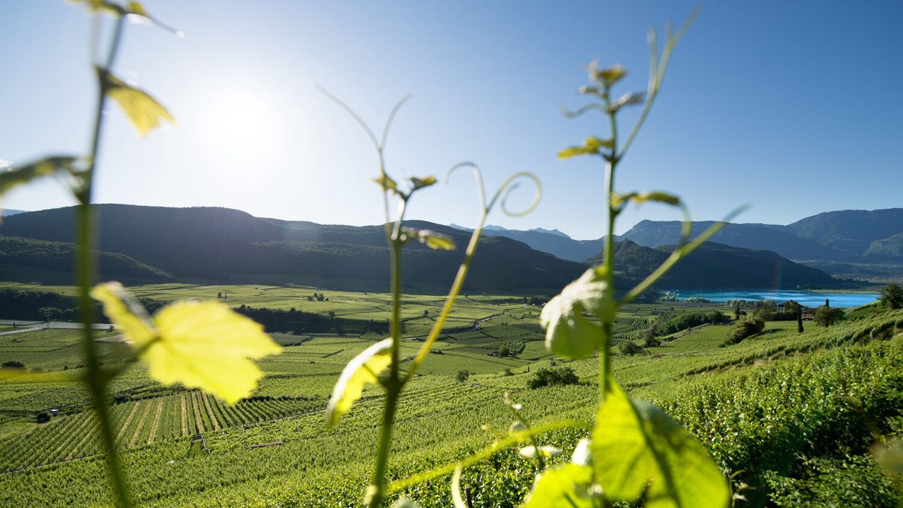 Photo of Outdoor in Caldaro Sulla Strada del Vino