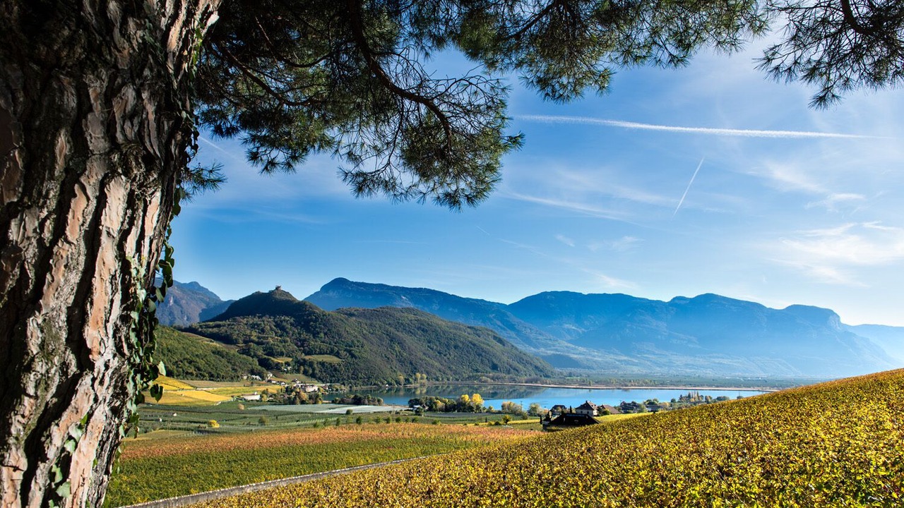 Photo of Outdoor in Caldaro Sulla Strada del Vino