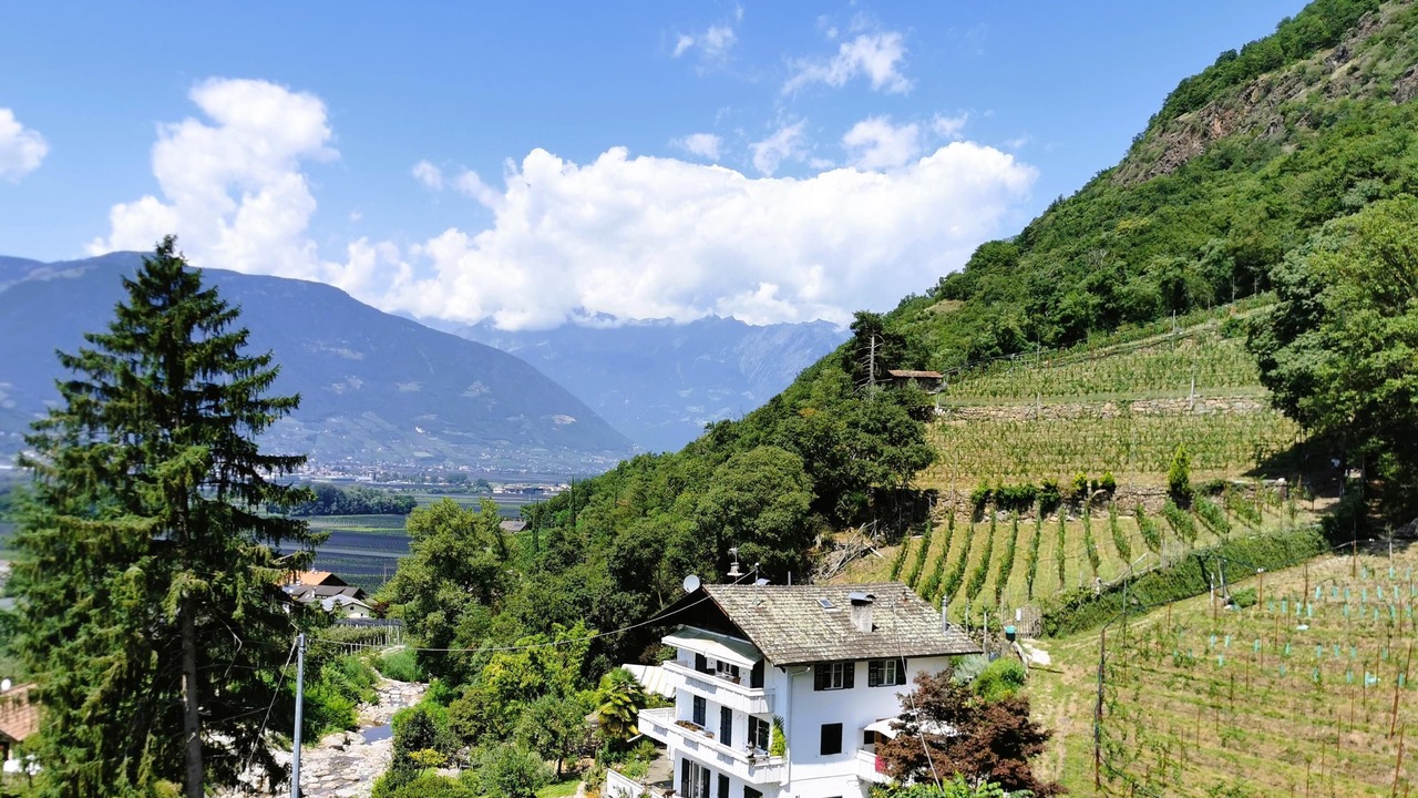 Photo of Outdoor in Gargazzone