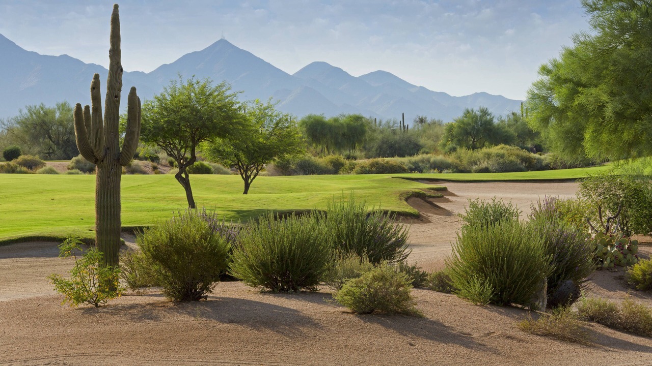 Photo of Others in Desert Ridge