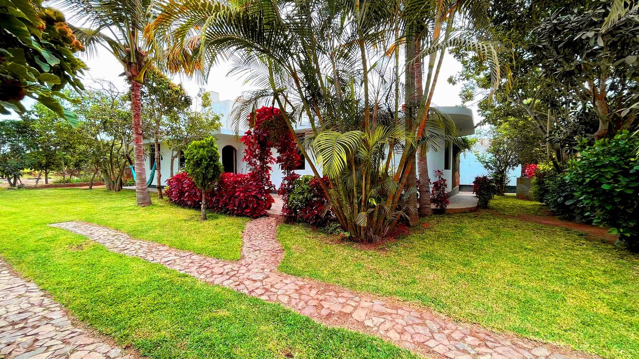 Photo of Outdoor in Trujillo