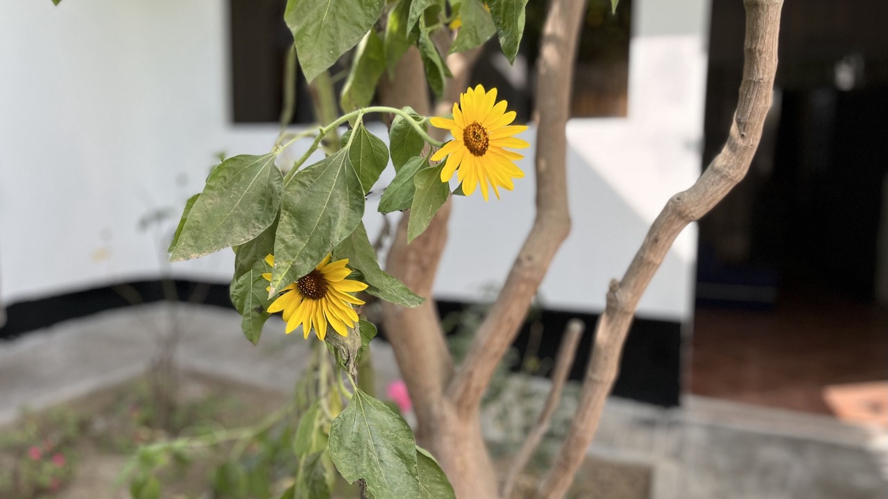 Photo of Outdoor in Trujillo