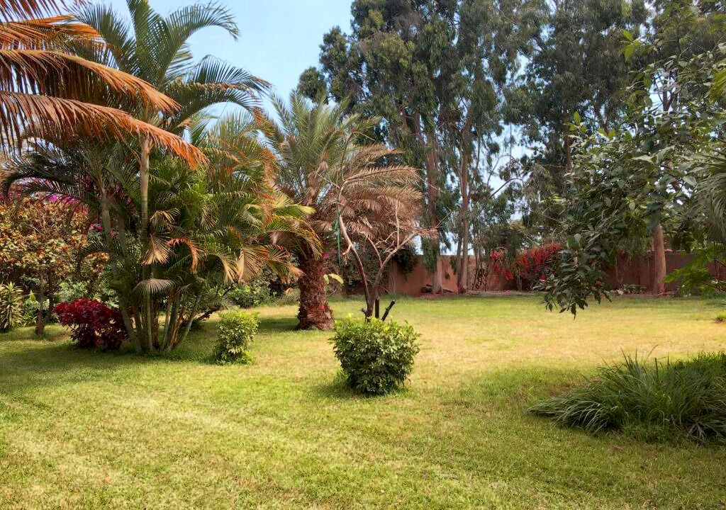 Photo of Outdoor in Trujillo