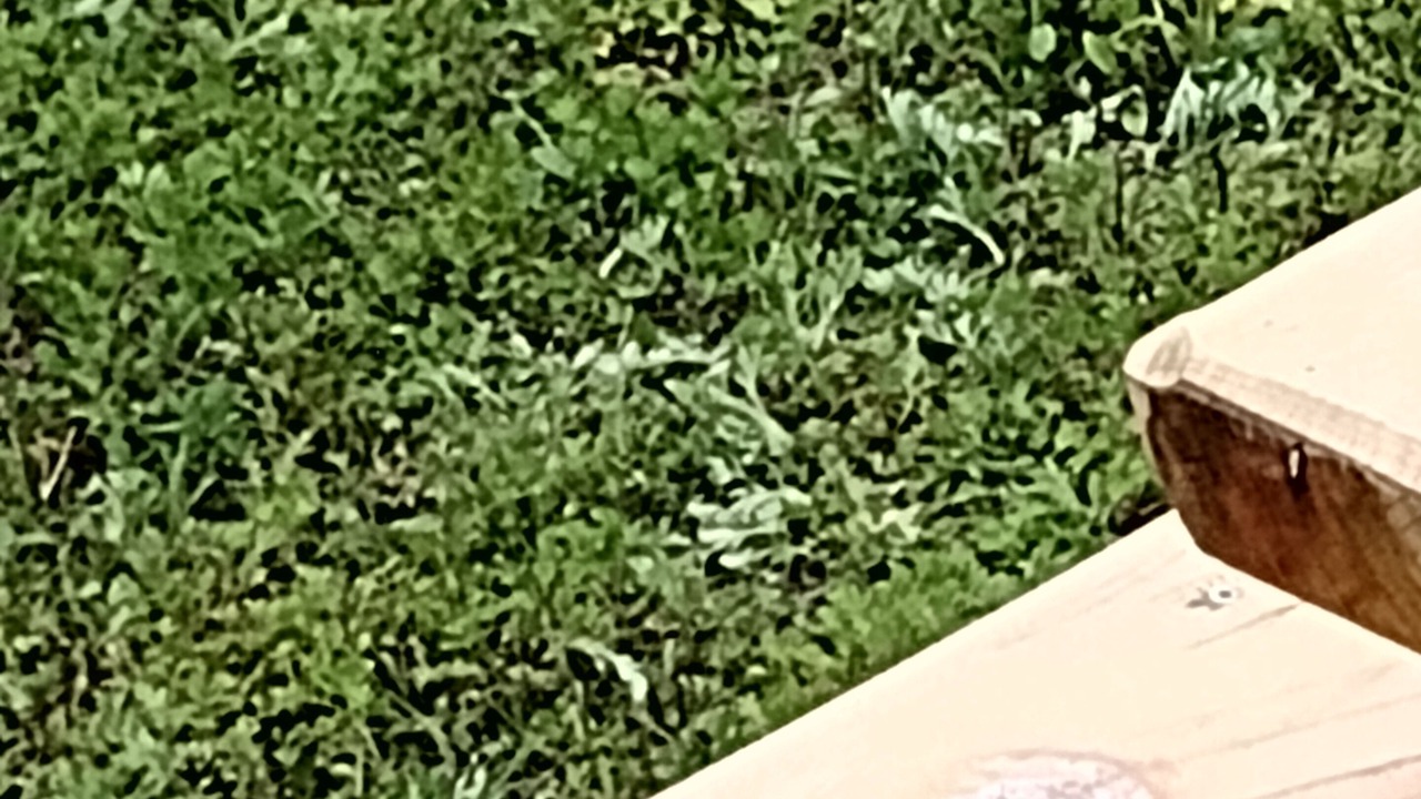 Photo of Outdoor in Ville del Monte