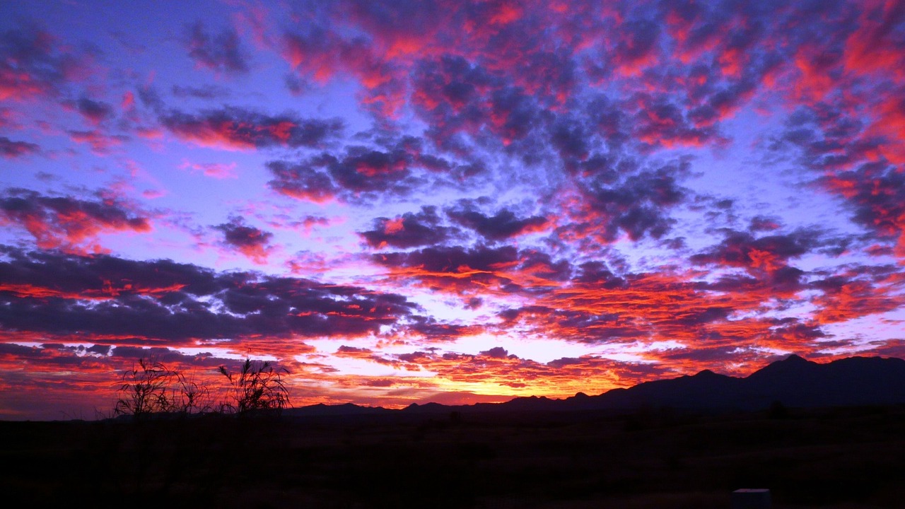 Photo of Others in Sonoita