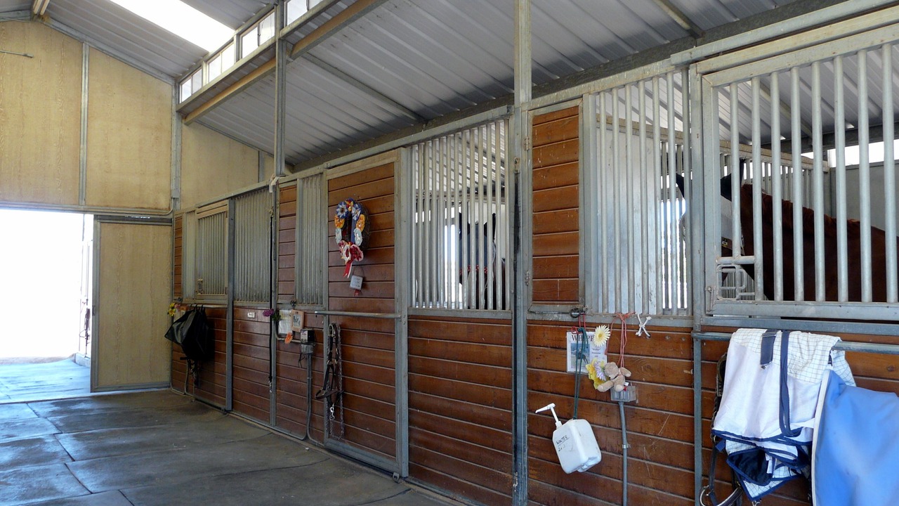 Photo of Outdoor in Sonoita