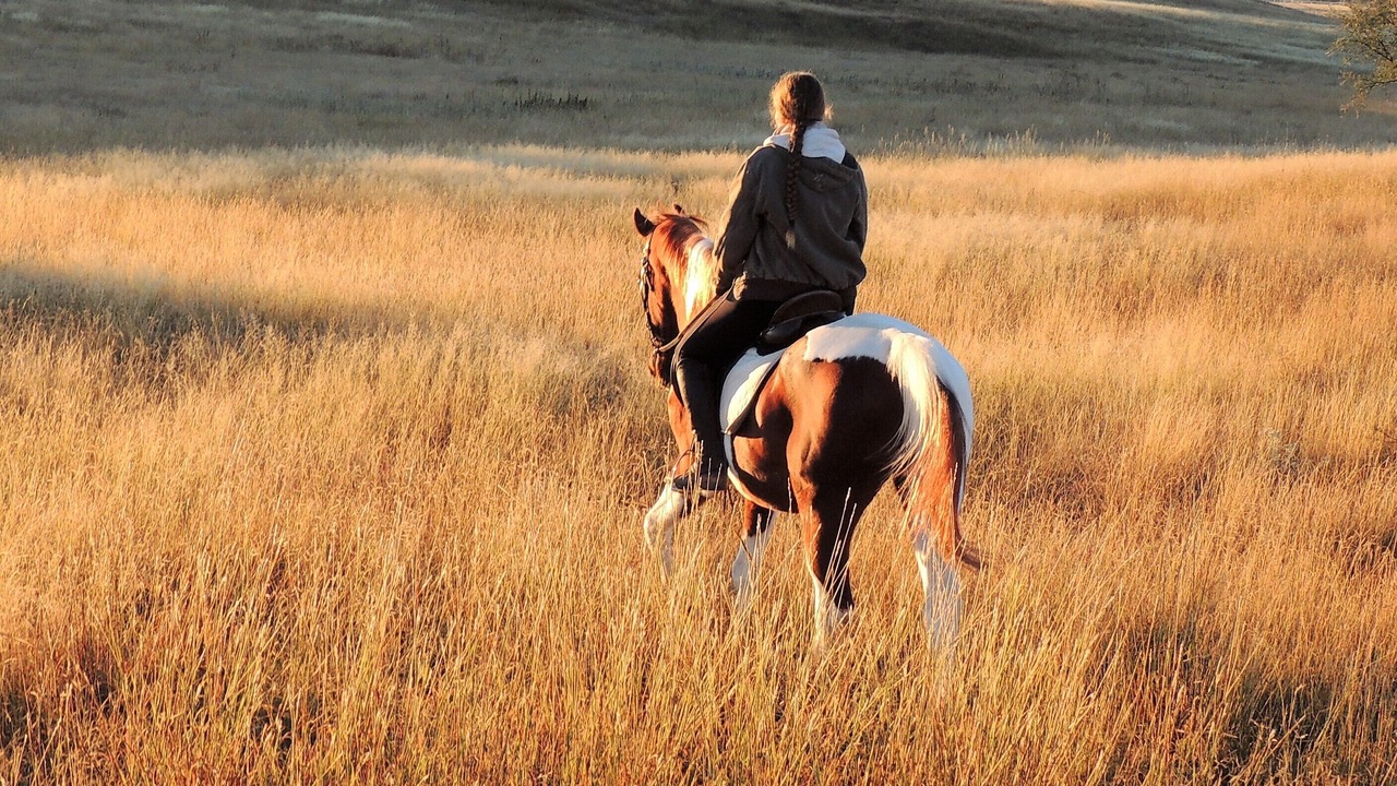 Photo of Others in Sonoita