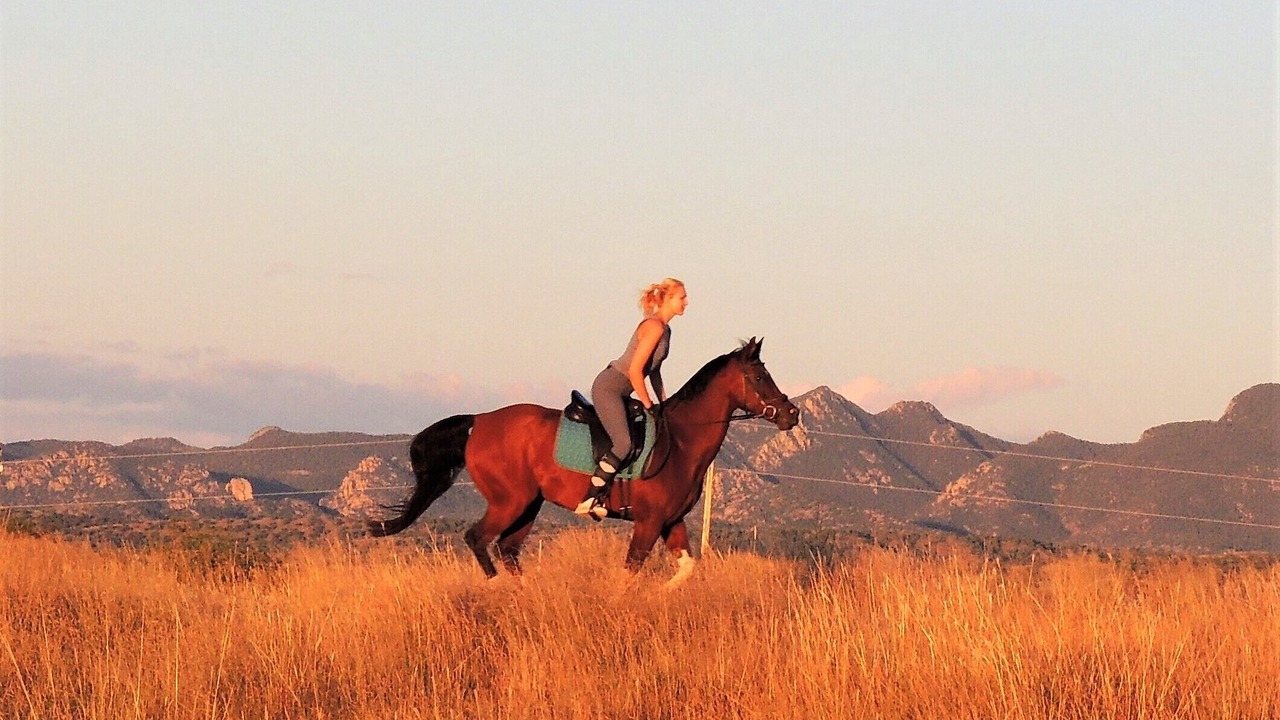 Photo of Others in Sonoita