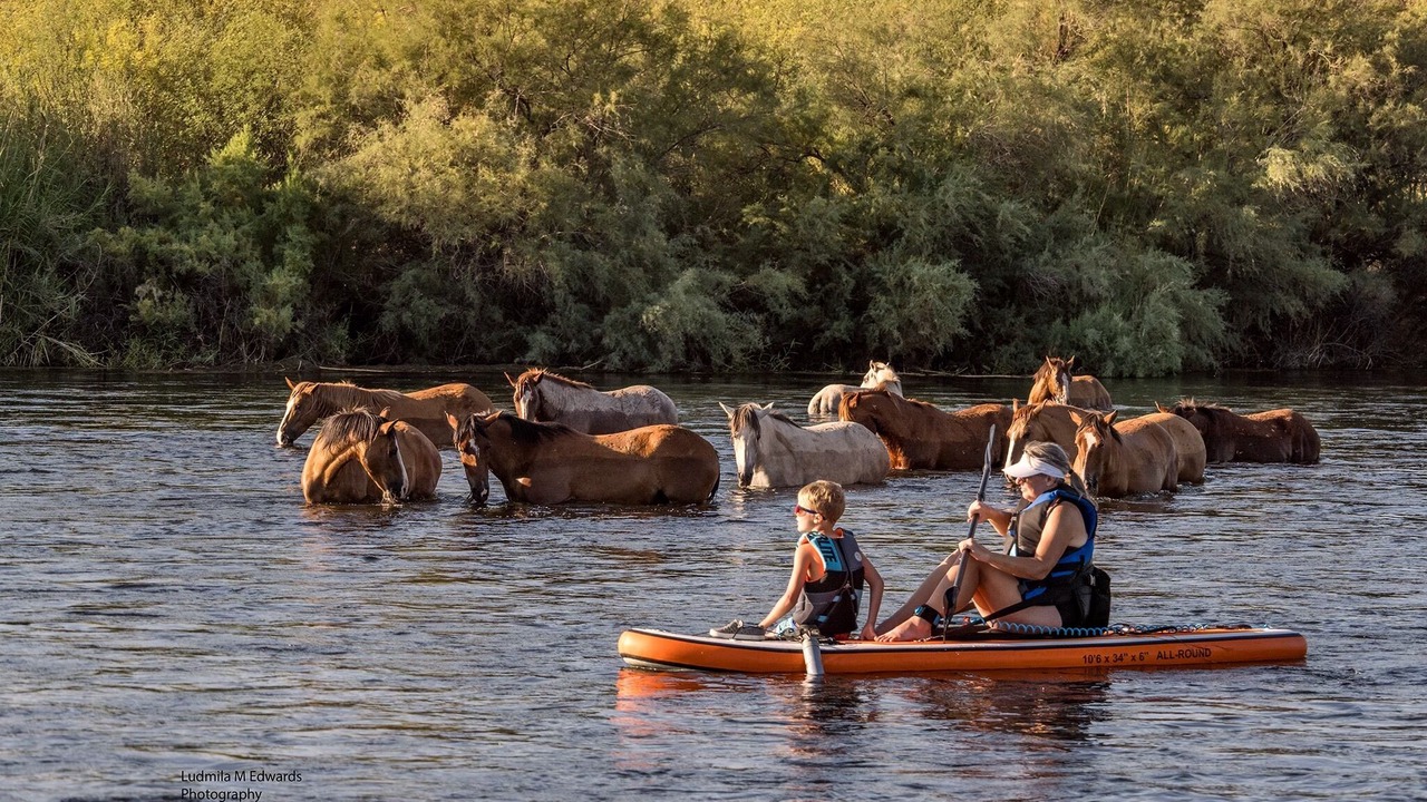 Photo of Others in Power Ranch