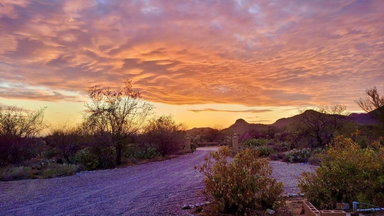 Photo of Others in Tucson