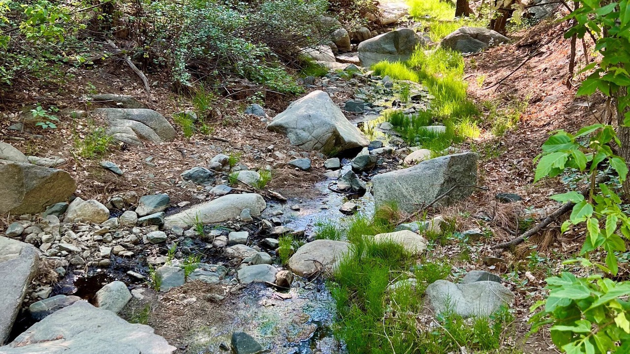 Photo of Others in Groom Creek