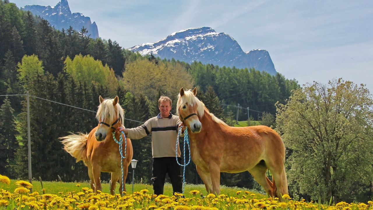 Photo of Others in Castelrotto