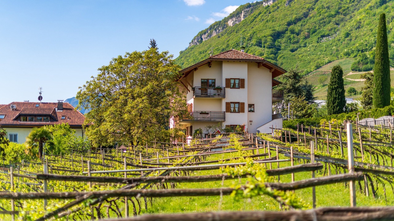 Photo of Outdoor in Tramin