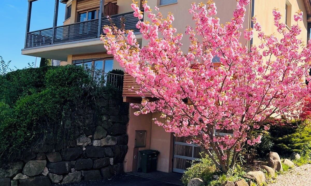 Photo of Outdoor in Berg/Monte