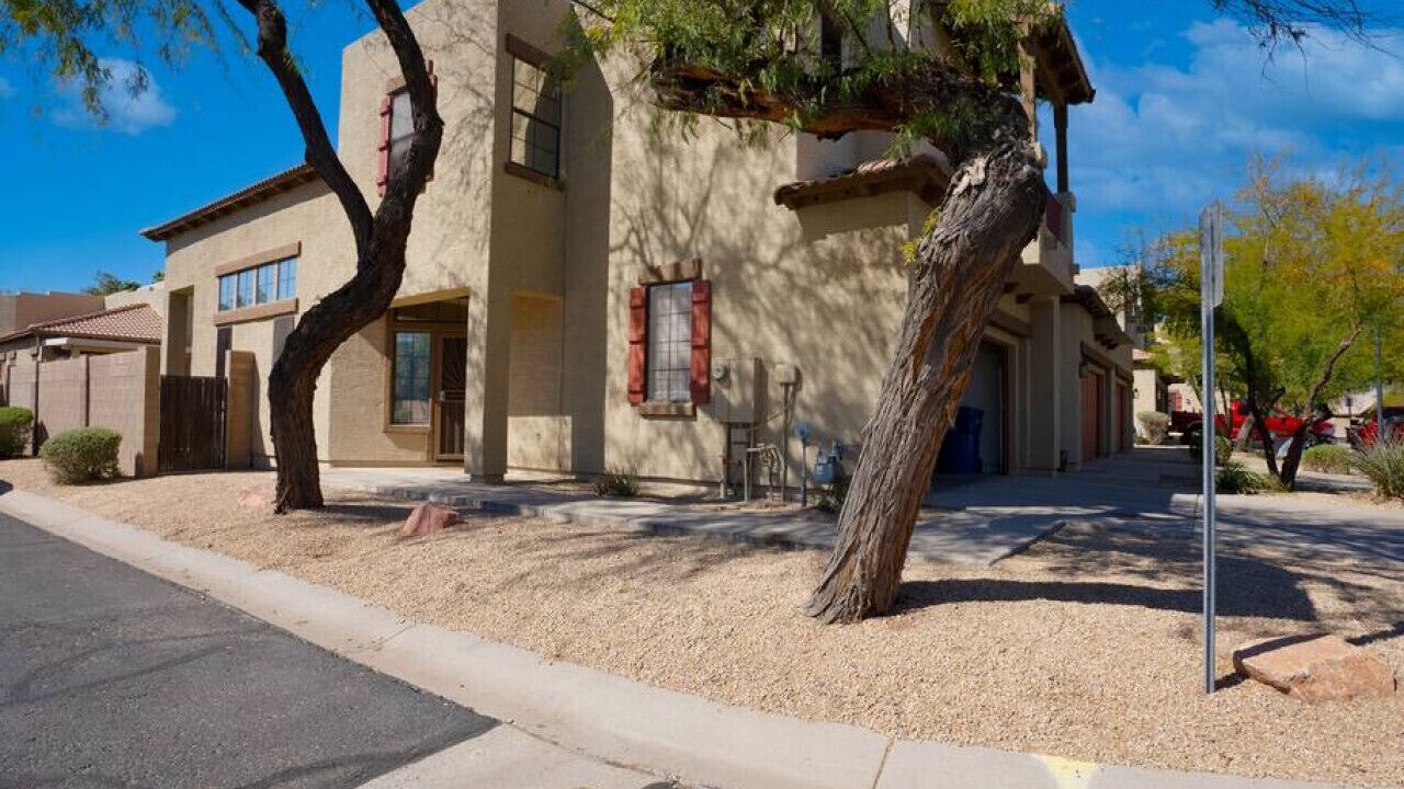 Photo of Others in Mesa