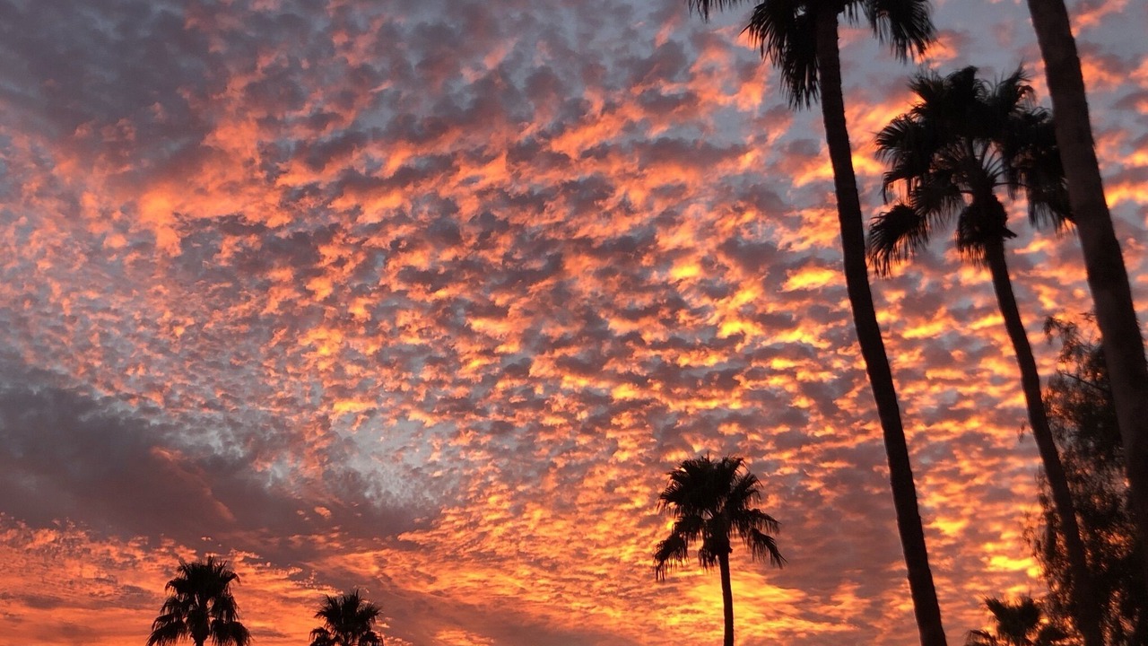 Photo of Others in Scottsdale Ranch