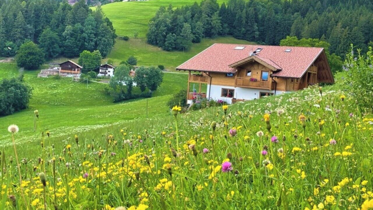 Photo of Outdoor in Verano