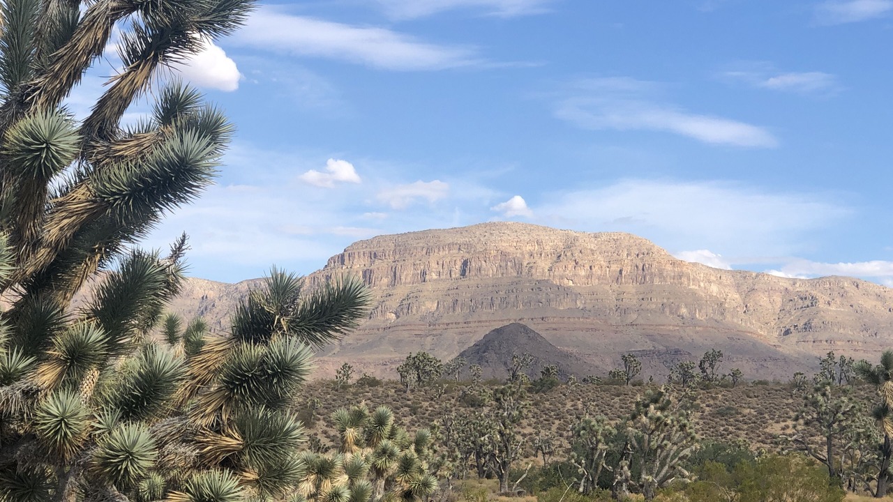 Photo of Outdoor in Meadview