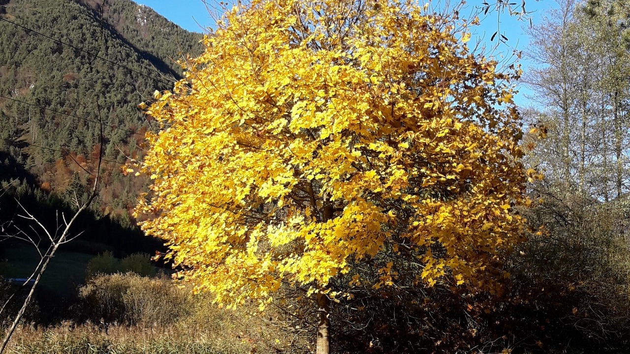 Photo of Outdoor in Ledro