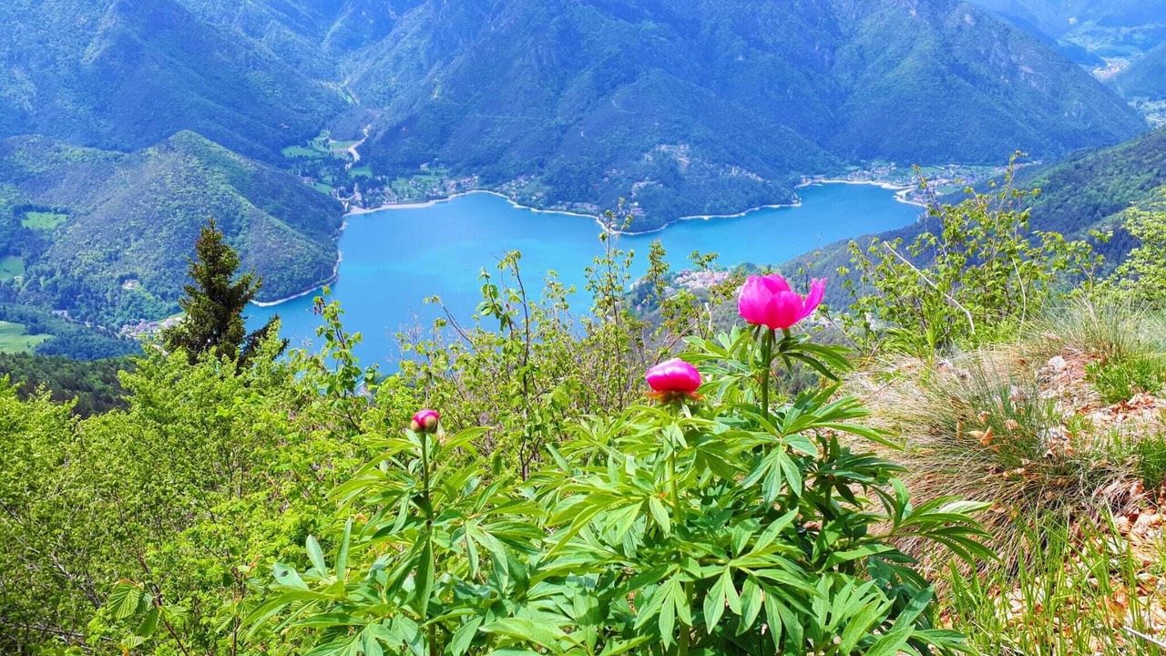 Photo of Outdoor in Ledro