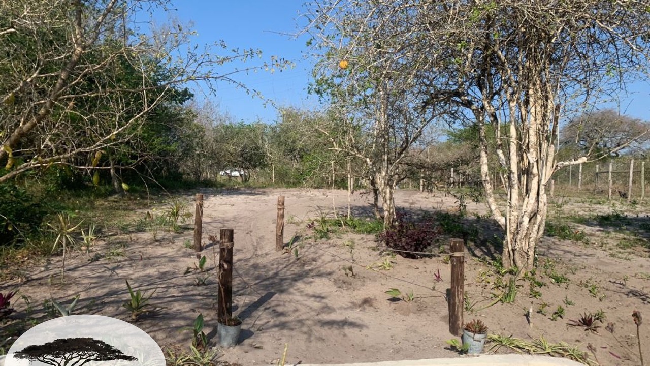 Photo of Outdoor in Mbazwana