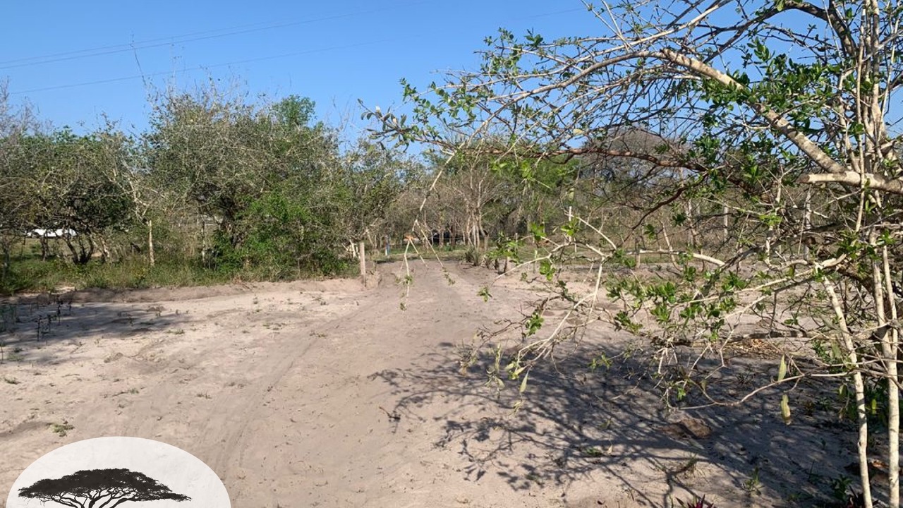 Photo of Outdoor in Mbazwana